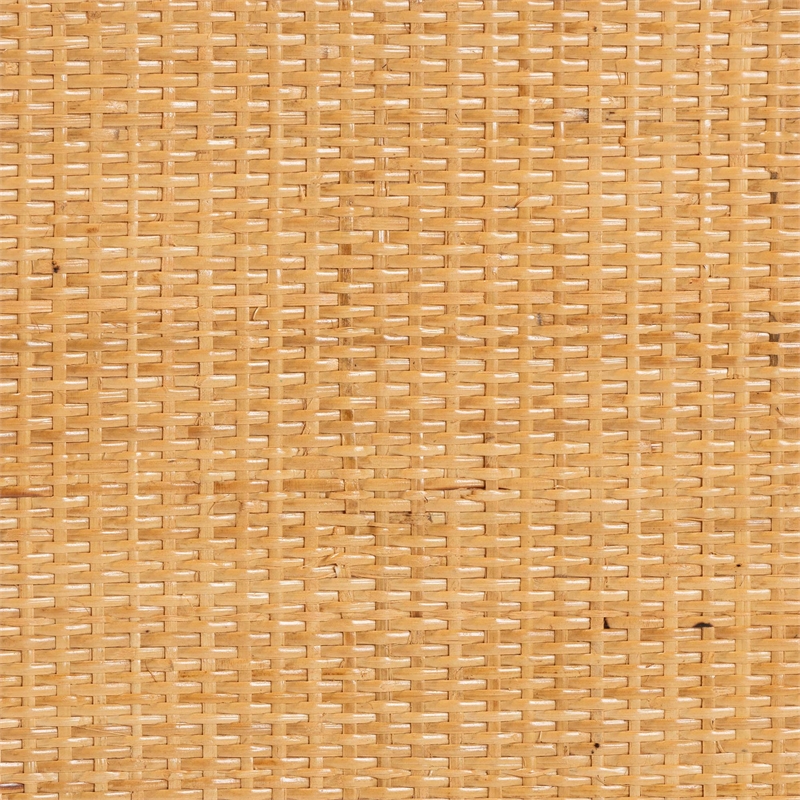 Pemberly Row Modern 2-Door Rattan Storage Cabinet in Natural Brown