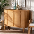 Pemberly Row Modern 2-Door Rattan Storage Cabinet in Natural Brown