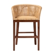 Pemberly Row Natural Rattan and Walnut Brown Acacia Wood Counter Stool