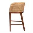 Pemberly Row Natural Rattan and Walnut Brown Acacia Wood Counter Stool