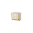 Pemberly Row Contemporary 2-Drawer Nightstand Made with Wood in Gold Finish