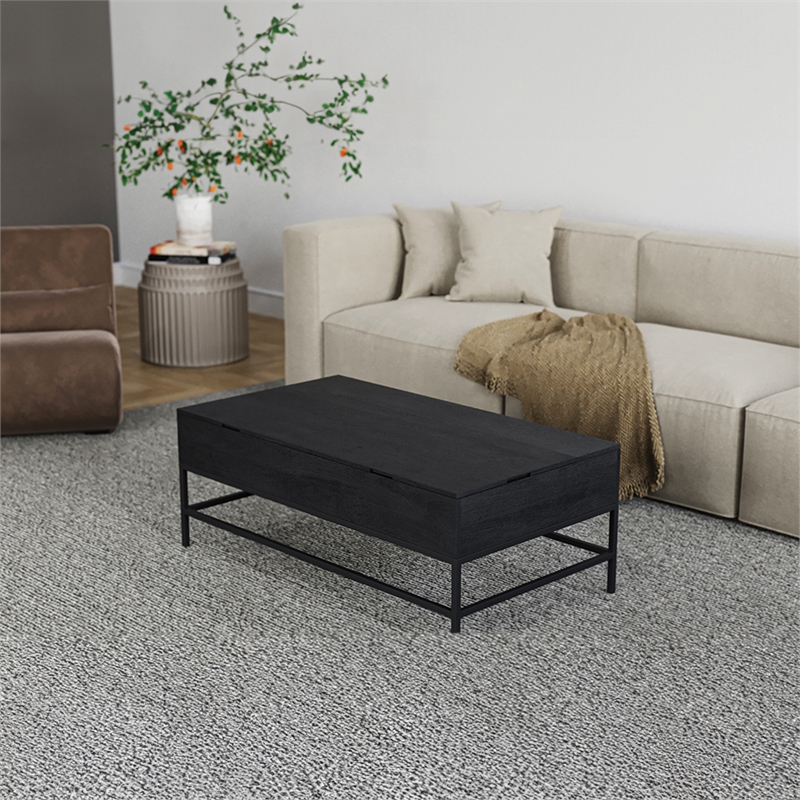 Pemberly Row Lift Top Storage Coffee Table with Natural Finish in Black Color