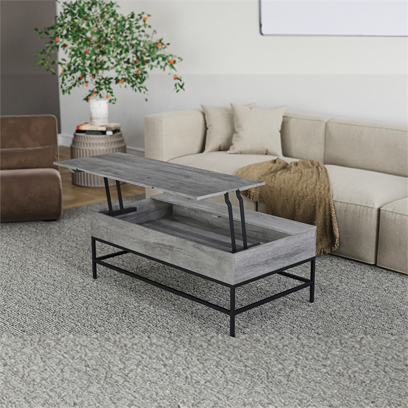 Pemberly Row Lift Top Storage Coffee Table with Natural Finish in Gray Color
