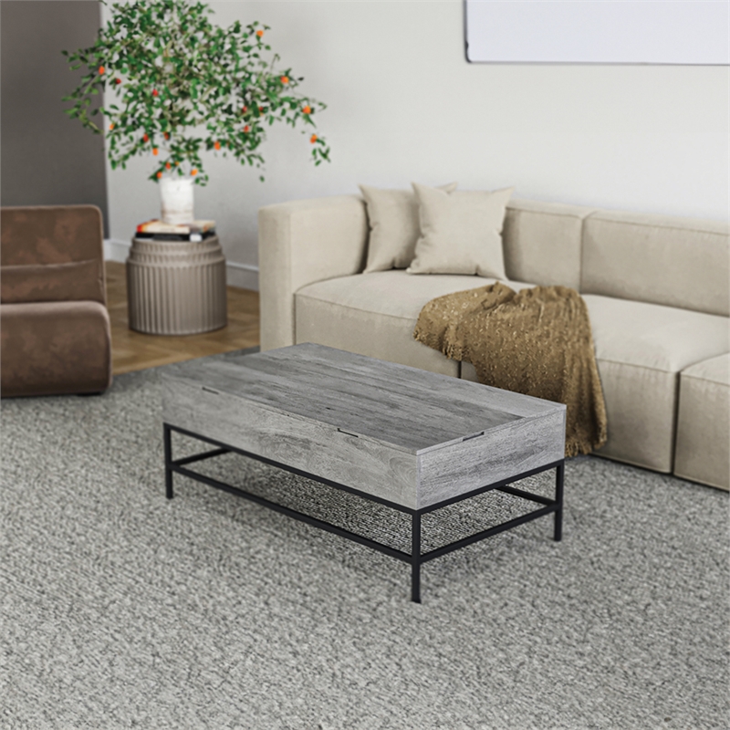 Pemberly Row Lift Top Storage Coffee Table with Natural Finish in Gray Color