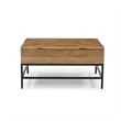 Pemberly Row Lift Top Storage Coffee Table with Natural Finish in Natural Color