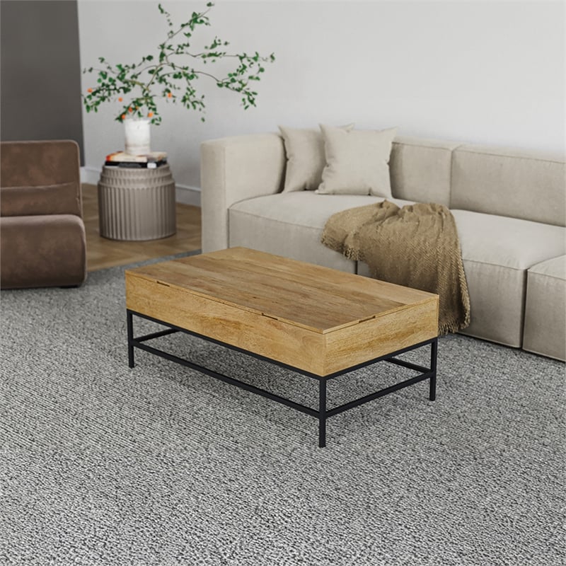Pemberly Row Lift Top Storage Coffee Table with Natural Finish in Natural Color