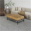 Pemberly Row Lift Top Storage Coffee Table with Natural Finish in Natural Color