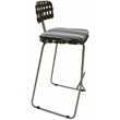 Pemberly Row Outdoor/Indoor Metal Bar Stool 30