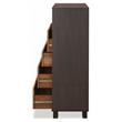 Pemberly Row Wood Rectangular Chest with 5 Storage Drawers in Walnut & Espresso