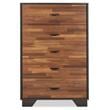Pemberly Row Wood Rectangular Chest with 5 Storage Drawers in Walnut & Espresso