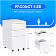 Pemberly Row Mobile Office FIle Cabinet with 3 Drawers Fully Assembled