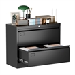 Pemberly Row 2-Drawer Steel Metal Lateral Locking Filing Cabinet w/ Lock - Black