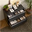 Pemberly Row 2-Drawer Steel Metal Lateral Locking Filing Cabinet w/ Lock - Black