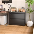 Pemberly Row 2-Drawer Steel Metal Lateral Locking Filing Cabinet w/ Lock - Black