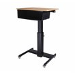 Pemberly Row Mobile School Standing Desk & Book Box Bundle in Wood Grain/Black