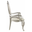 Pemberly Row Nailhead Trim Fabric Upholstery Arm Chair in Champagne (Set of 2)