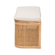 Pemberly Row Contemporary Bohemian Natural Rattan Storage Bench