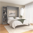 Pemberly Row Wood Queen Murphy Bed with Closet Organizer in Gray