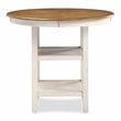 Pemberly Row 5-Piece Solid Wood Counter Dining Set in Brown/White