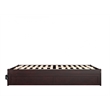 Pemberly Row Solid Wood Queen Bed and Twin XL Trundle in Espresso