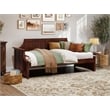 Pemberly Row Mid-Century Solid Wood Twin Daybed with Curved Backboard in Walnut