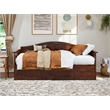 Pemberly Row Mid-Century Solid Wood Twin Daybed with Set of 2 Drawers in Walnut