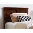 Pemberly Row Charlotte Twin XL Low Profile Platform Bed  in Walnut