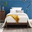 Pemberly Row Twin Modern Solid Wood Platform Bed Frame in Cappuccino