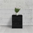 Pemberly Row 2 Drawer Night Stands in Black Woodgrain (Set of 2)