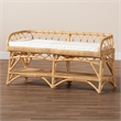 Pemberly Row Modern Bohemian Natural Rattan Bench with 1 Open Shelf in Brown