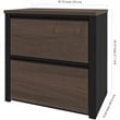Pemberly Row 2 Drawer Lateral File Cabinet in Antigua and Black