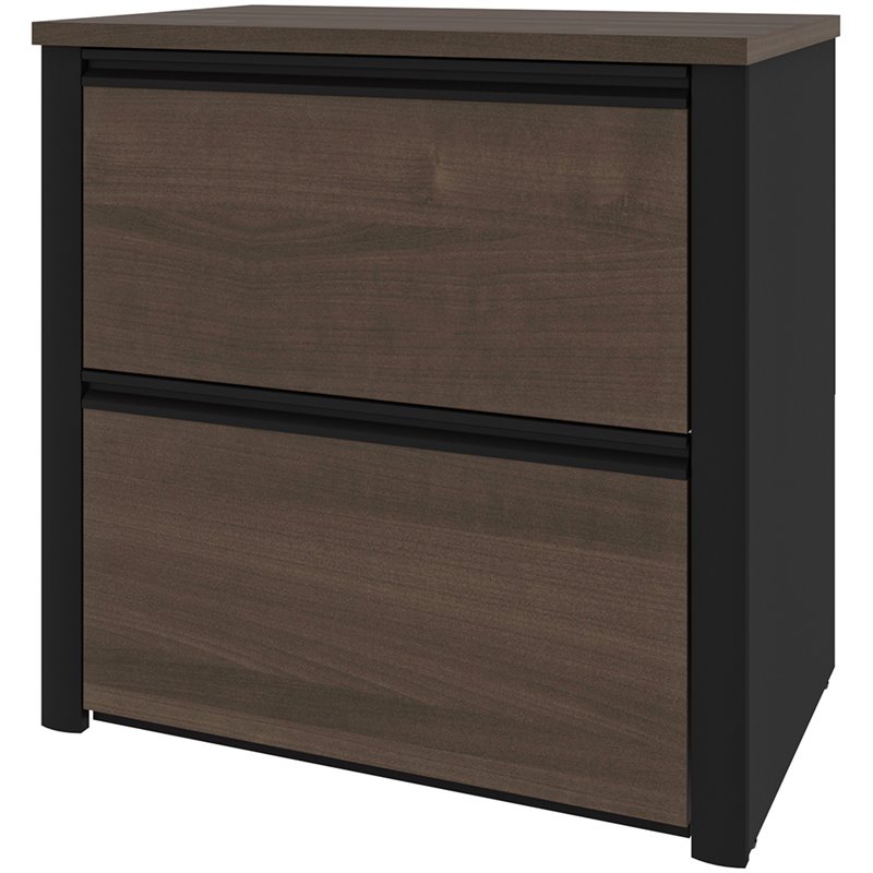 Pemberly Row 2 Drawer Lateral File Cabinet in Antigua and Black