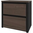 Pemberly Row 2 Drawer Lateral File Cabinet in Antigua and Black