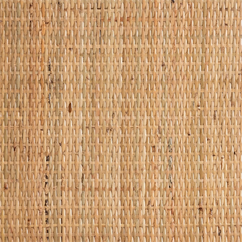 Pemberly Row Modern Bohemian Natural Brown Rattan Console Table