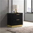 Pemberly Row 2-drawer Wood Nightstand Bedside Table Black and Gold