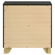 Pemberly Row 2-drawer Wood Nightstand Bedside Table Black and Gold