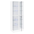 Pemberly Row Wood Display Case Curio Cabinet with LED Lighting White High Gloss