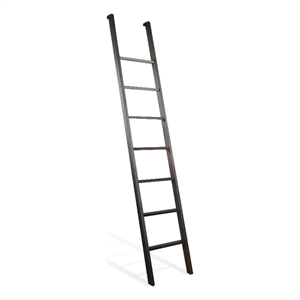 Pemberly Row Modern Wood Bookcase Ladder in European Dark Gray