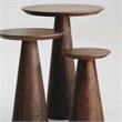 Pemberly Row Modern / Contemporary Tall End Table in Walnut Finish