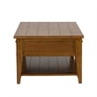 Pemberly Row Modern / Contemporary Cocktail Table with Veneered Shelves
