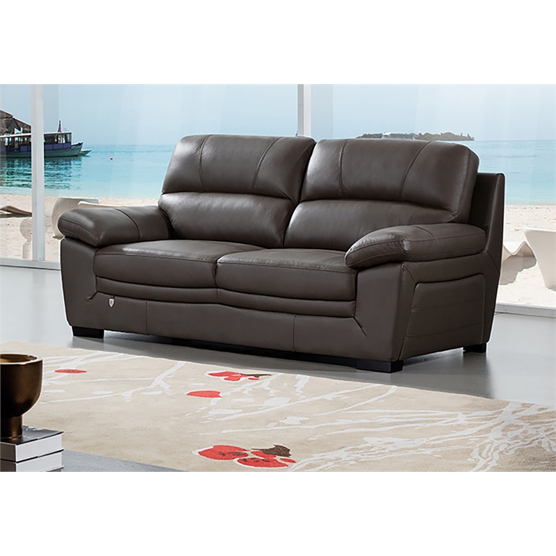 Pemberly Row Modern Taupe (Brown) Color With Italian Leather Sofa