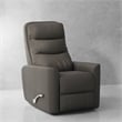 Pemberly Row Polyester/PU Manual Swivel Glider Recliner in Haze Brown