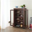 Pemberly Row Wood Shoe Cabinet with Casters in Vintage Walnut