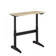 Pemberly Row Modern Metal Adjustable Long Standing Desk in Black