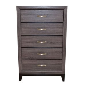 Pemberly Row Contemporary Chest Made with Wood in Gray Color