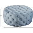 Pemberly Row Modern Button Sky Blue Velvet Ottoman and Bench