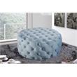 Pemberly Row Modern Button Sky Blue Velvet Ottoman and Bench
