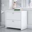 Pemberly Row 2 Drawer Lateral File Cabinet in Pure White - Engineered Wood