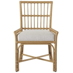 Pemberly Row Contemporary Woven Rattan Low-Arm Chair Set of Two
