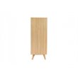 Pemberly Row Contemporary Veneer Wood and Metal Chest in Walnut Natural